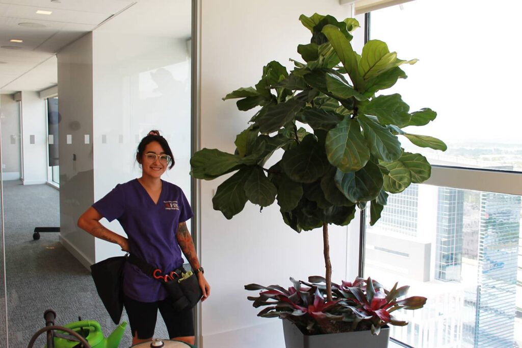 Brandt Immigration Orlando,  Office