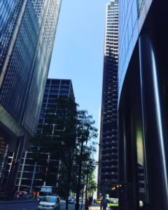 Statman Harris, LLC Chicago, IL Office