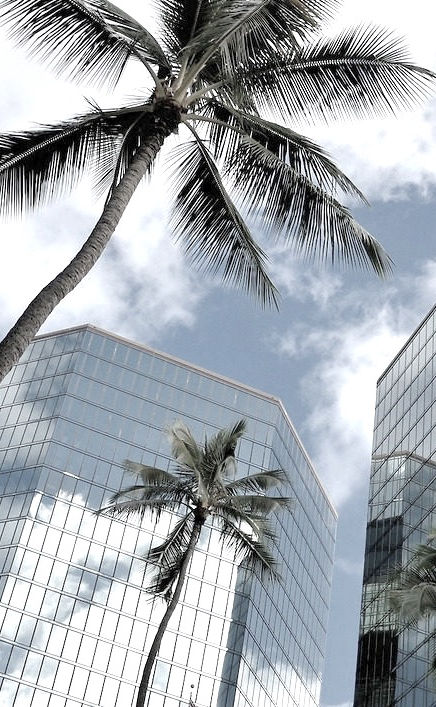 Law Offices of Ian Mattoch Lihue, HI Office