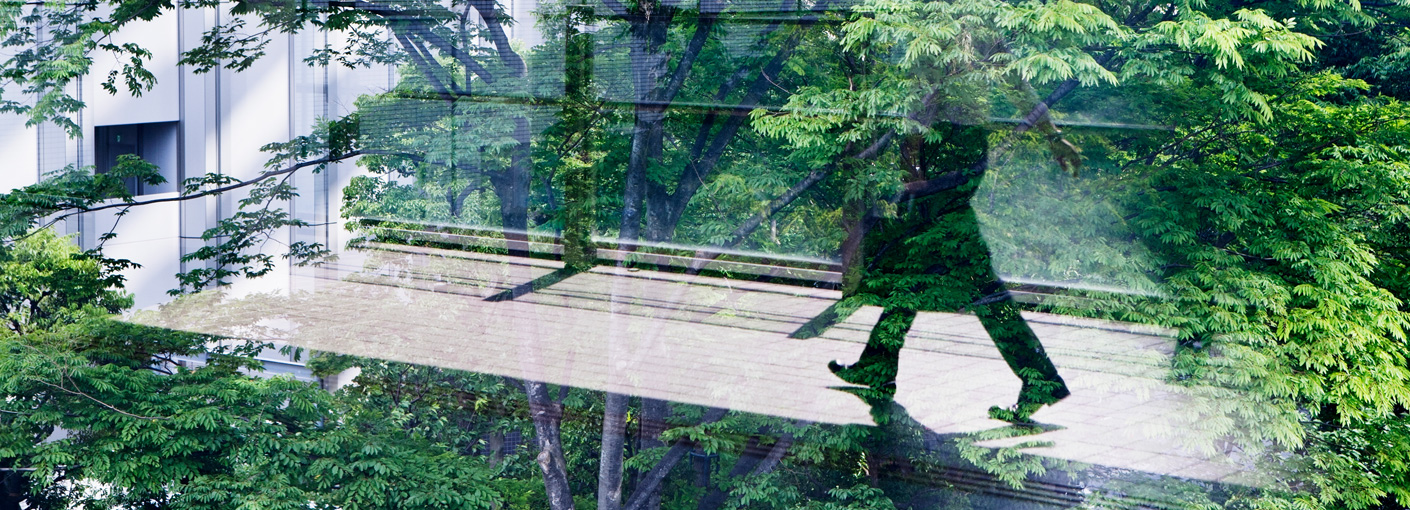 Buddle Findlay Auckland, New Zealand Office