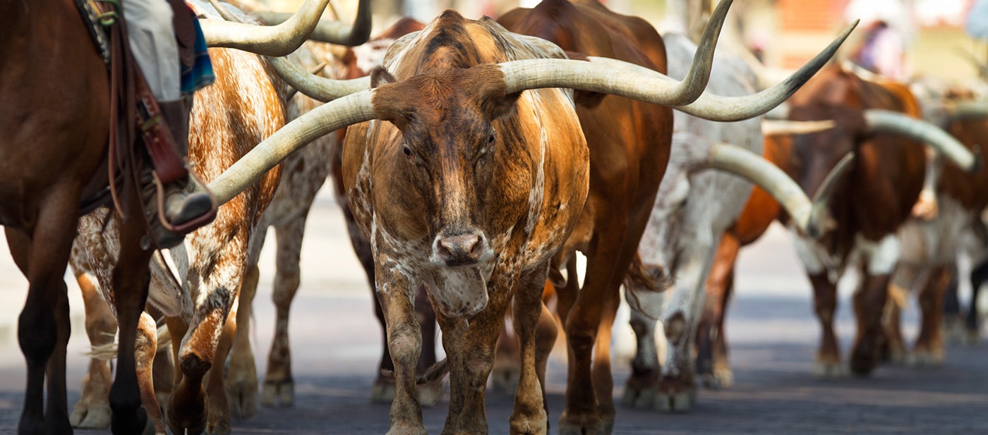 Grover Loudermilk, P.L.L.C Wichita Falls, TX Office