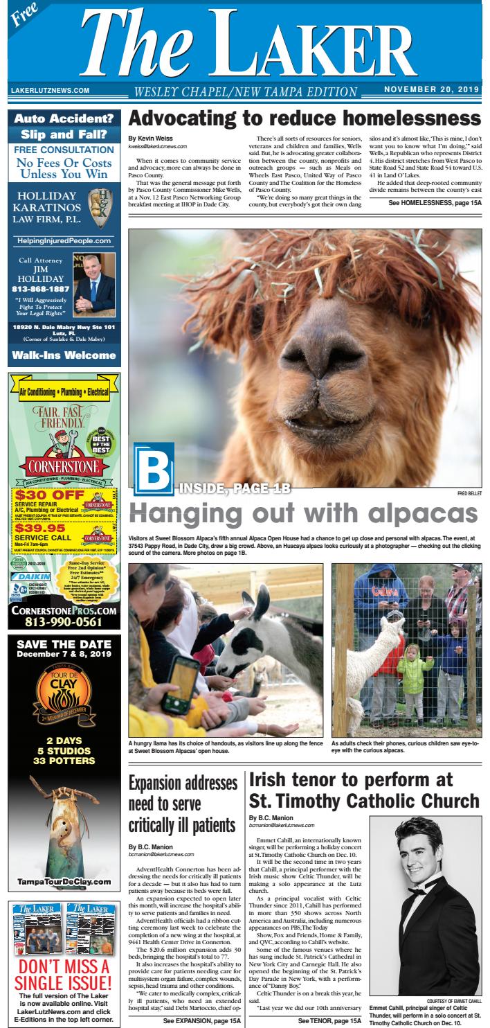 Bold Patents Lutz, FL Office