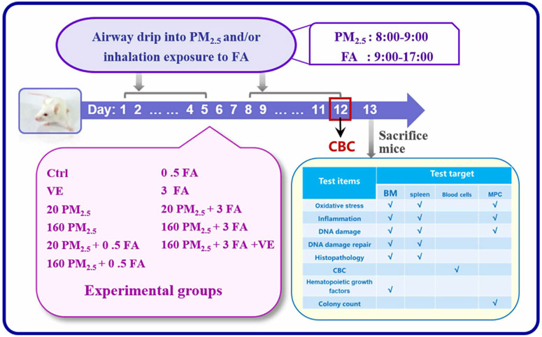 Lehman, Lee & Xu Tianjin, China Office