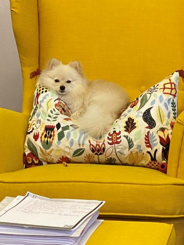 Shelton Law & Associates Rancho Cordova,  Office