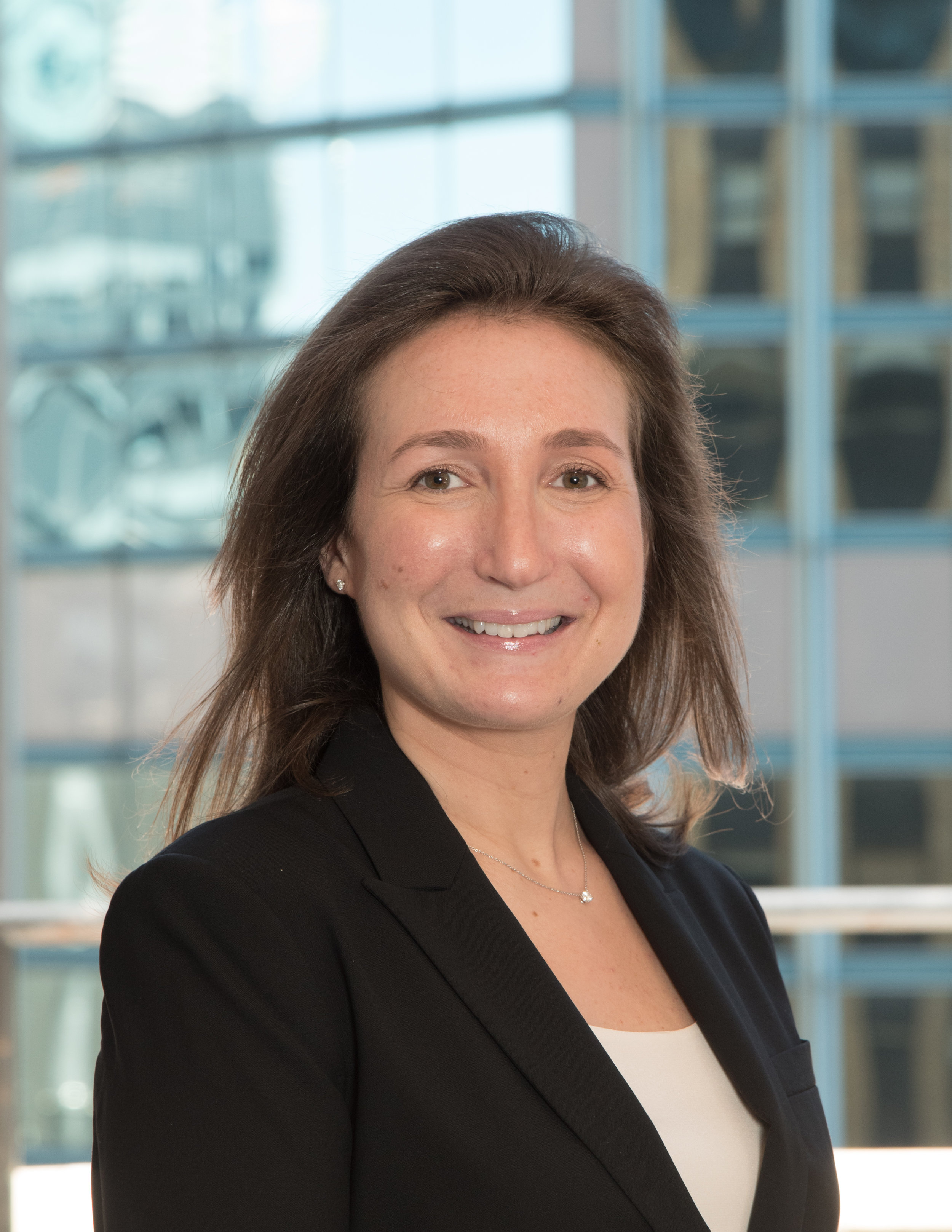 Cyruli Shanks Hart & Zizmor LLP New York City,  Office