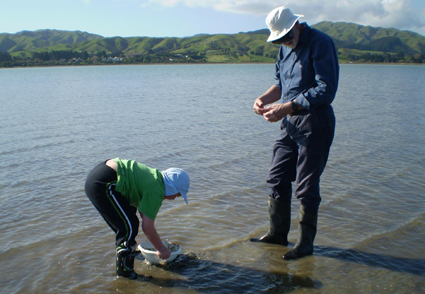James & Wells Christchurch, United Kingdom Office