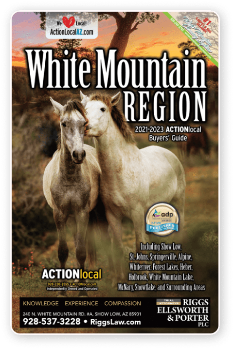 Riggs Ellsworth and Porter PLC Show Low, AZ Office