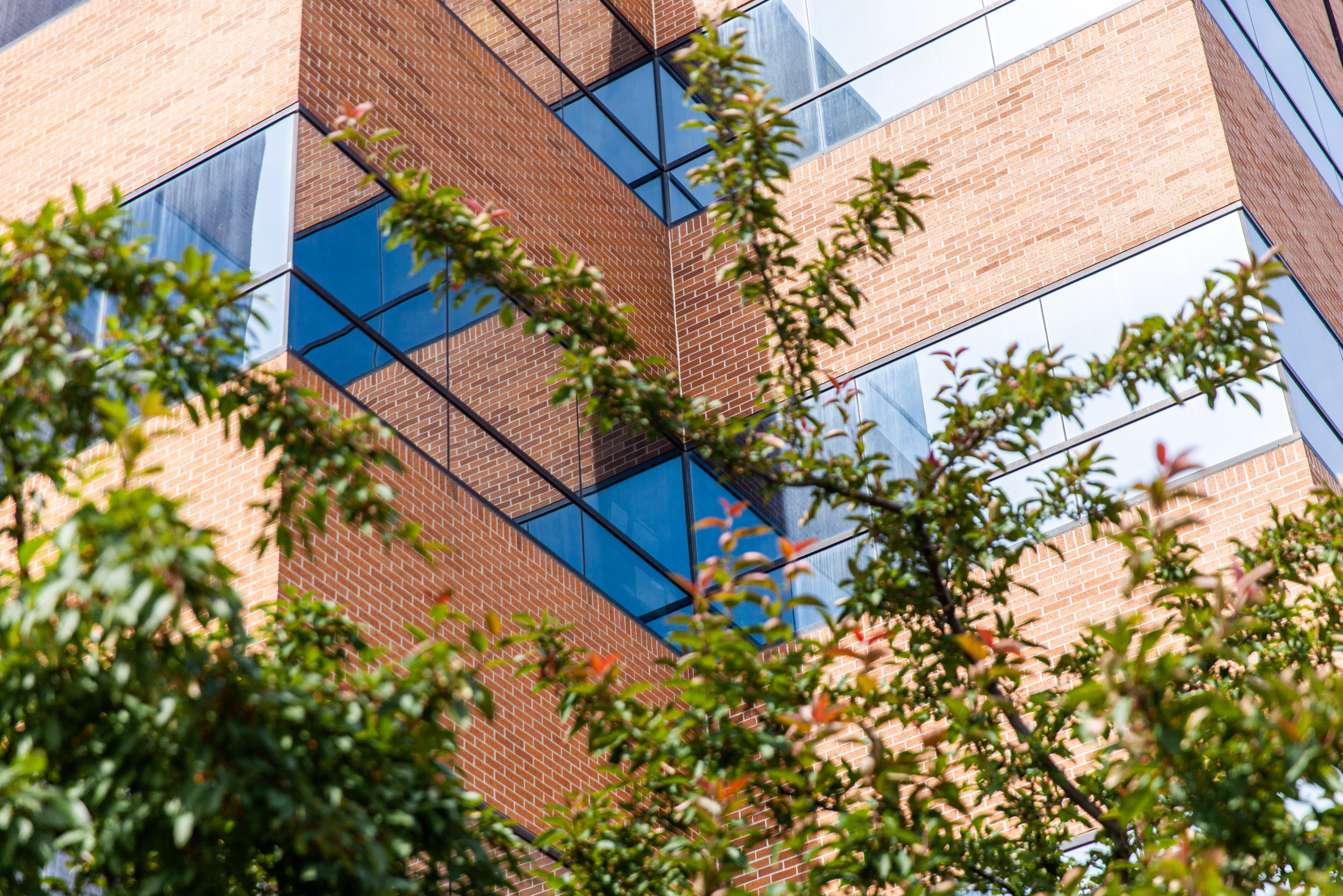 Suiter Swantz PC Omaha, NE Office