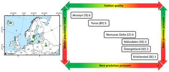 Magnusson Stockholm, Sweden Office