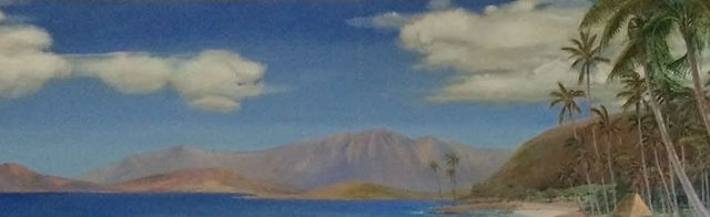 Bushnell Law Group LLC Honolulu,  Office