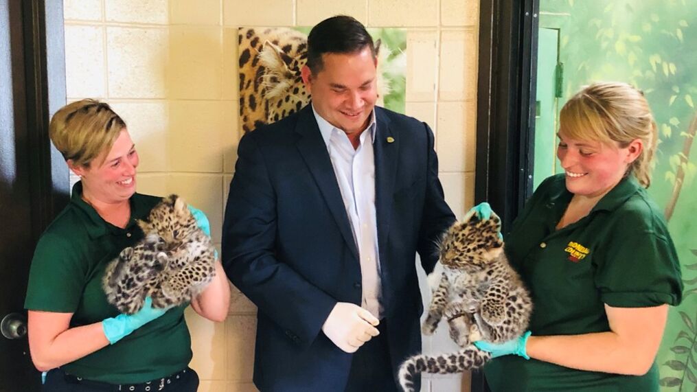 McMahon Law Firm Syracuse, NY Office