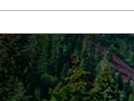 Litvak Litvak Mehrtens and Carlton, PC Denver, CO Office