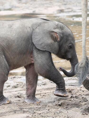 Caputo, Bastos e Serra Advogados Brasilia, Brazil Office
