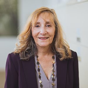 Davis Environmental Law Englewood Cliffs, NJ Office