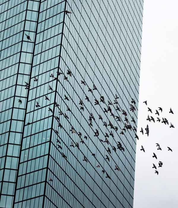 Bird & Bird Milan, Italy Office