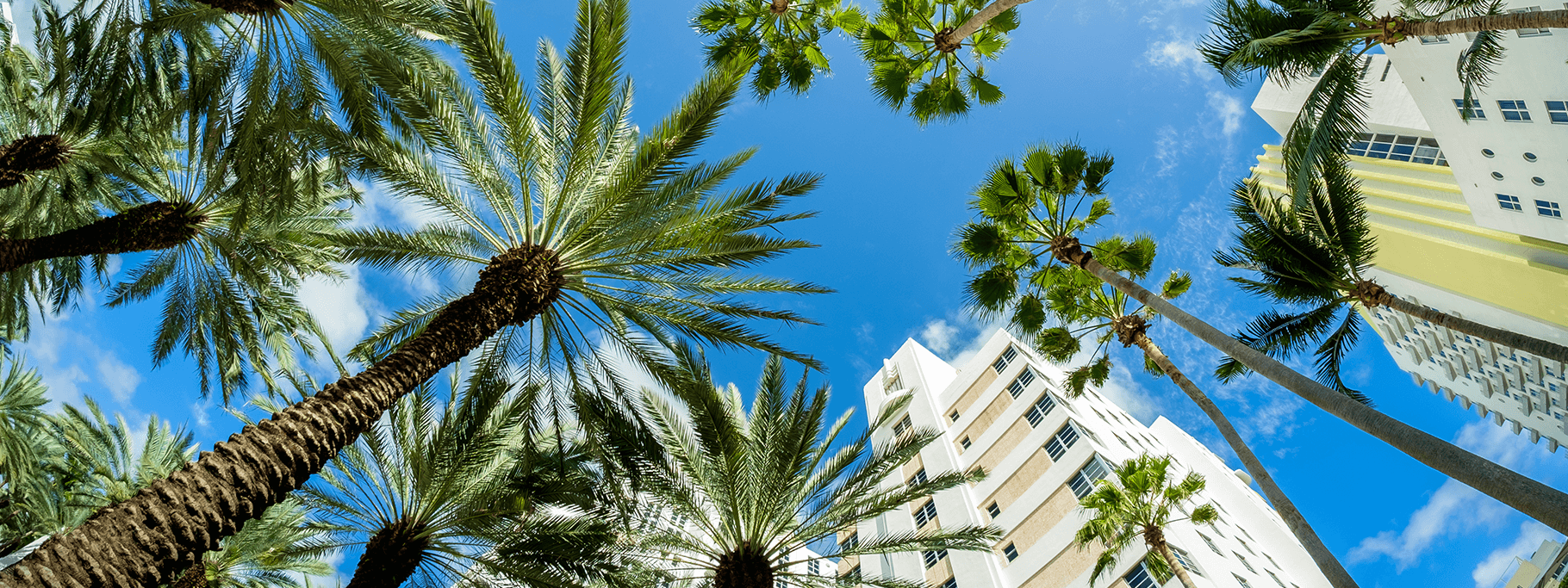 Kennedys Law LLP Miami, FL Office