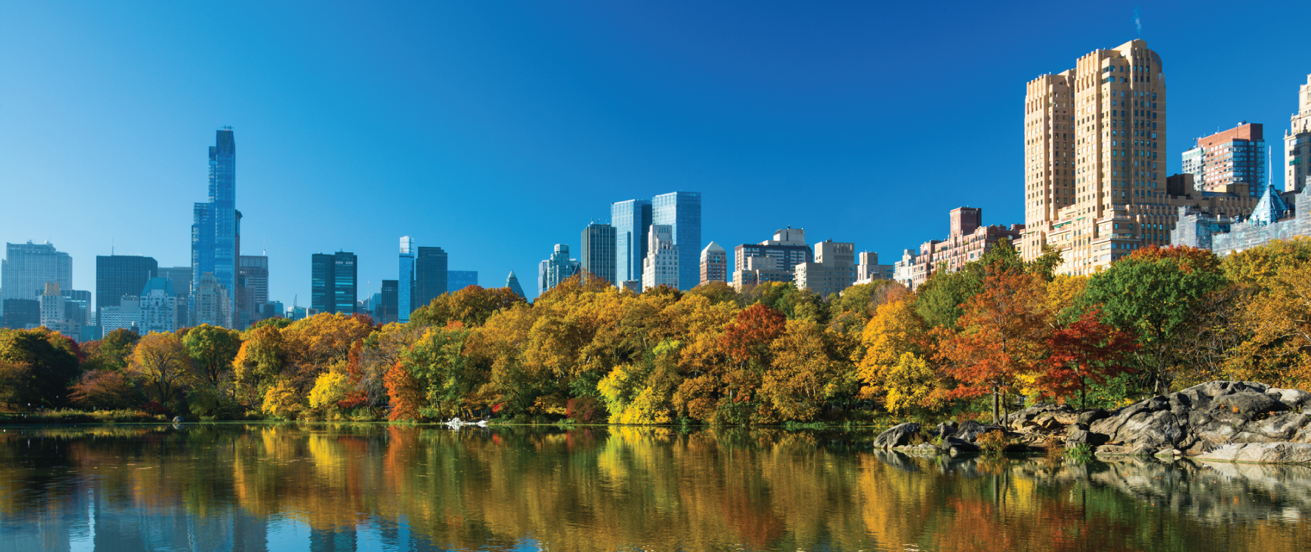 Crone Law Group Beverly Hills, CA Office