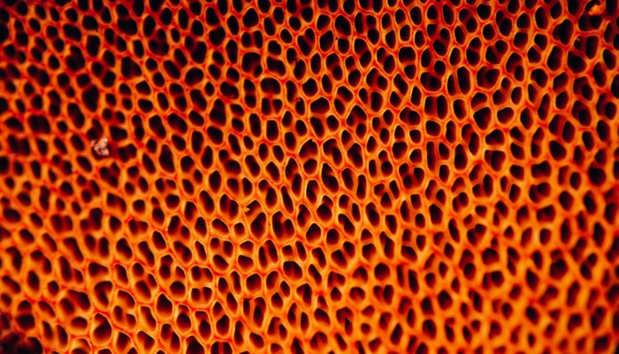 Mewburn Ellis LLP Cambridge, United Kingdom Office