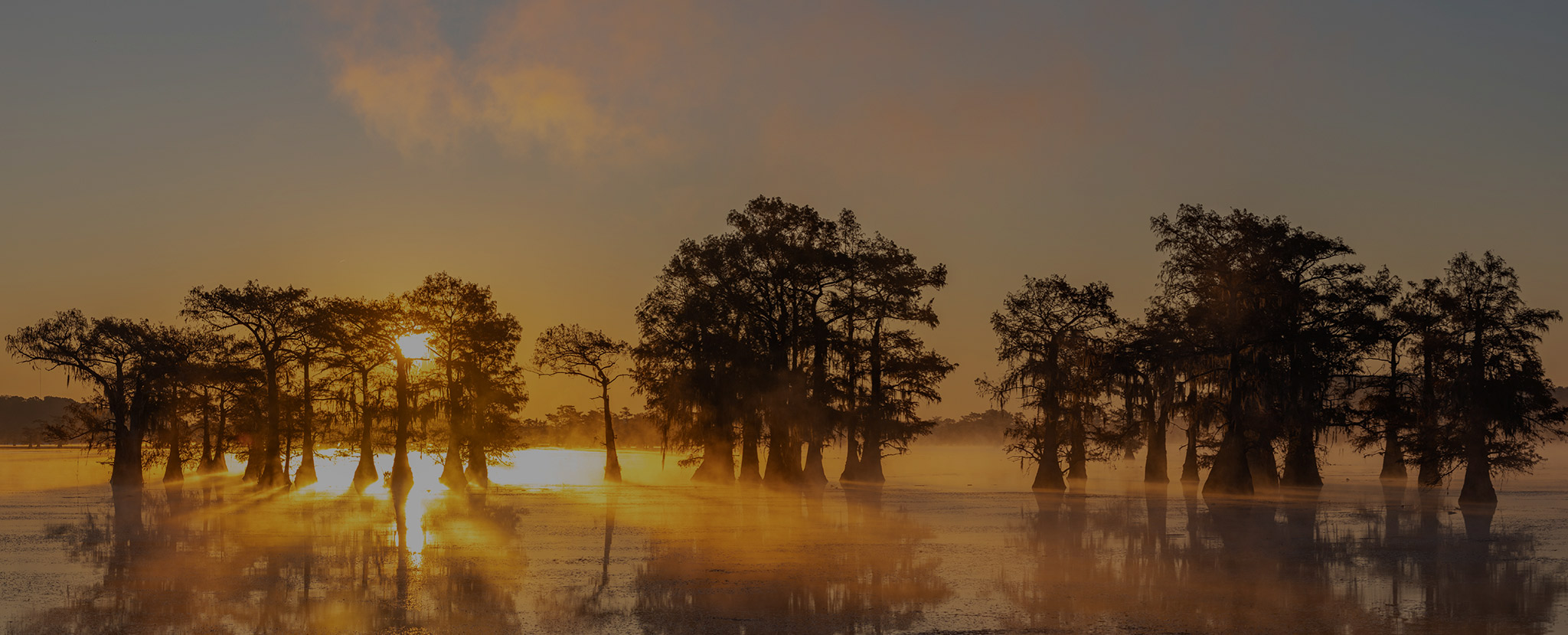 Bradley Murchison Kelly & Shea LLC Shreveport, LA Office