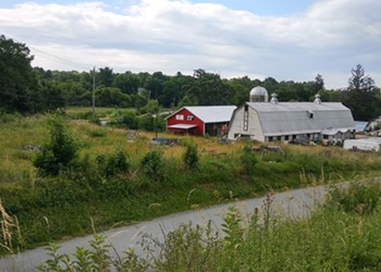 Blustein, Shapiro, Frank & Barone, LLP Goshen, NY Office