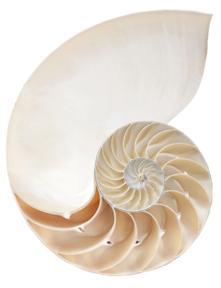 Kathy Roux Law Southlake,  Office