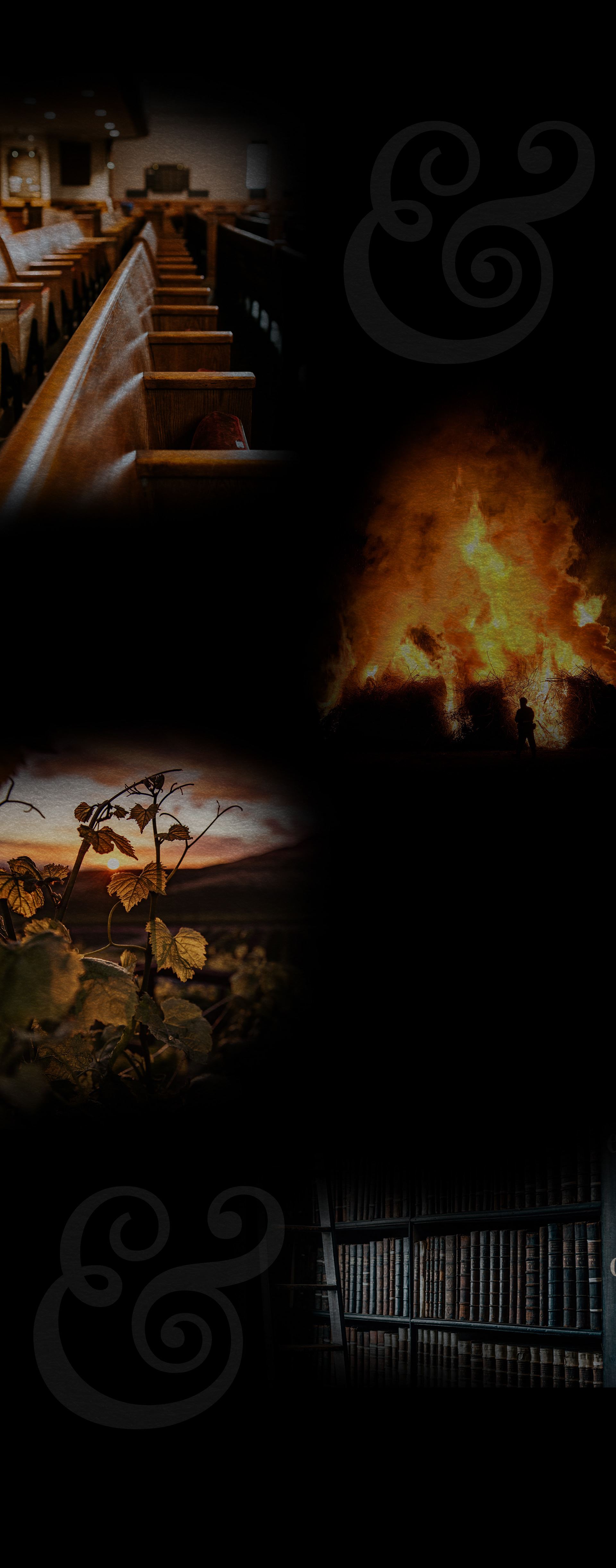 Abbey, Weitzenberg, Warren & Emery Santa Rosa, CA Office