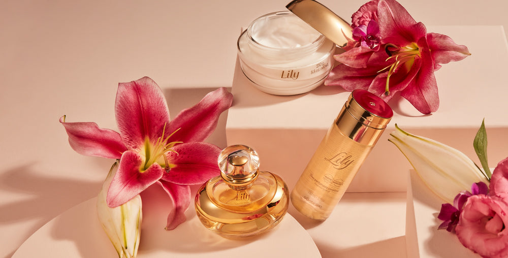 Andrade Maia Advogados Porto Alegre, Brazil Office