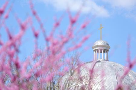 Allen & Newman PLLC Memphis, TN Office
