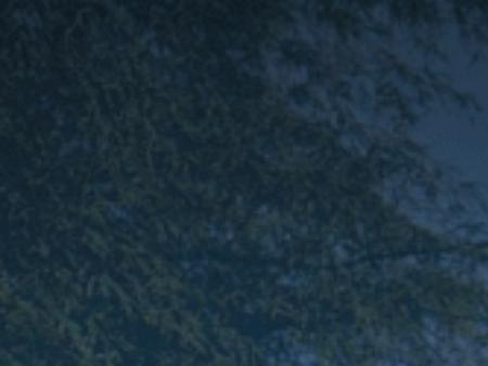 Nadrich & Cohen, LLP Riverside, CA Office