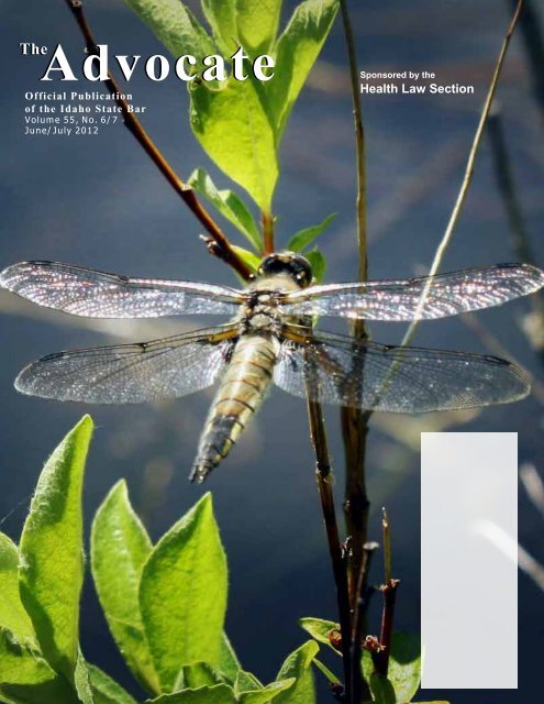 Hayes Soloway P.C Salt Lake City, UT Office