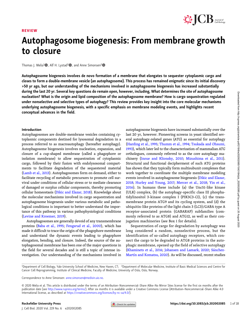 Schjdt Oslo, Norway Office