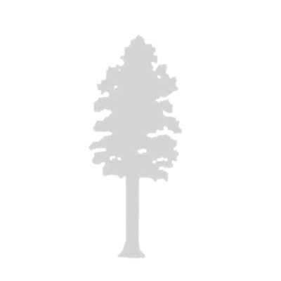 Jenkinson, Jarrett & Kellahan, PA Kingstree, SC Office