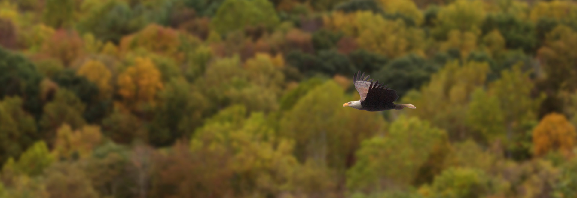 Headley Ballard LLC Pearisburg, VA Office