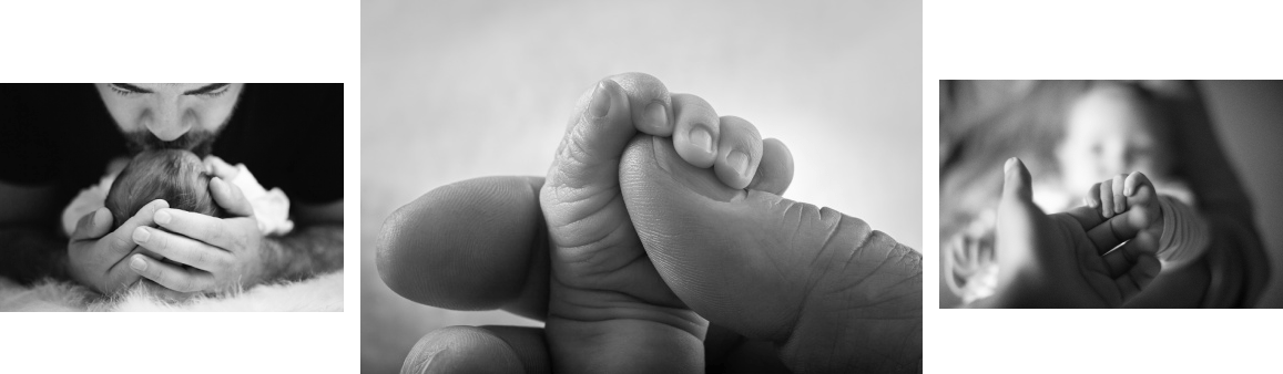 The Lancione Law Firm Rocky River,  Office