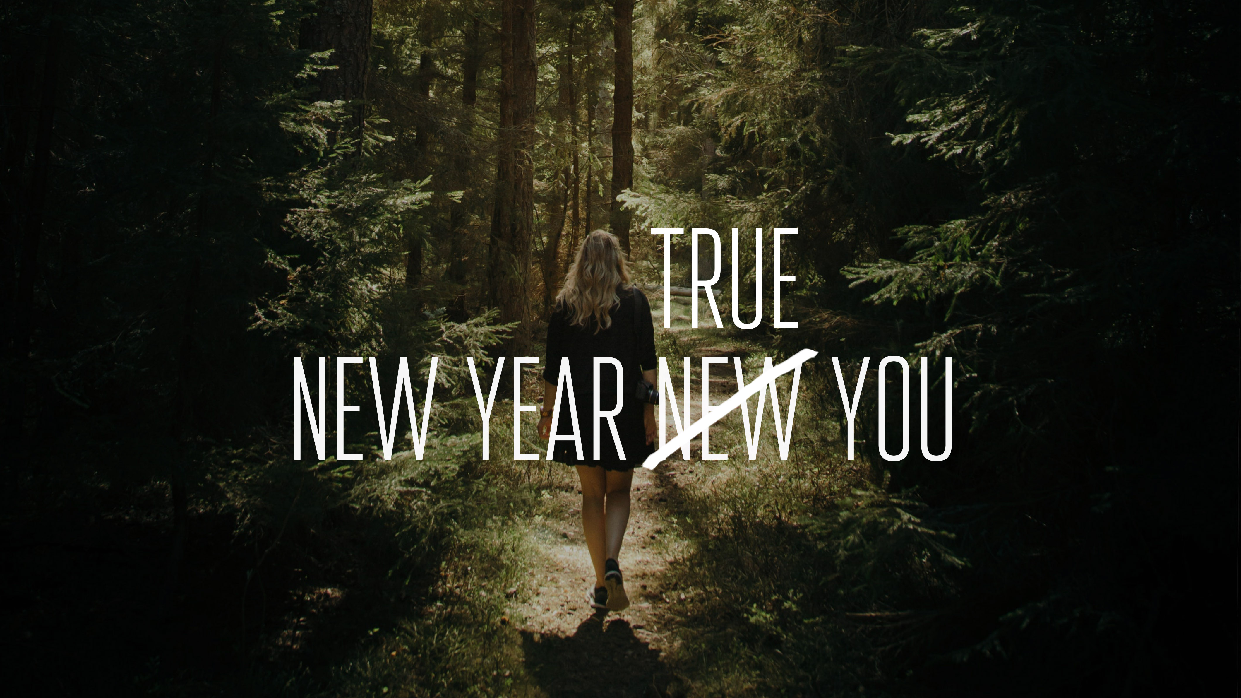 Kegels & Co Brussels, Belgium Office