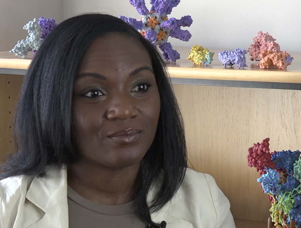 Lesley A. Wallerstein, LLC Deerfield,  Office