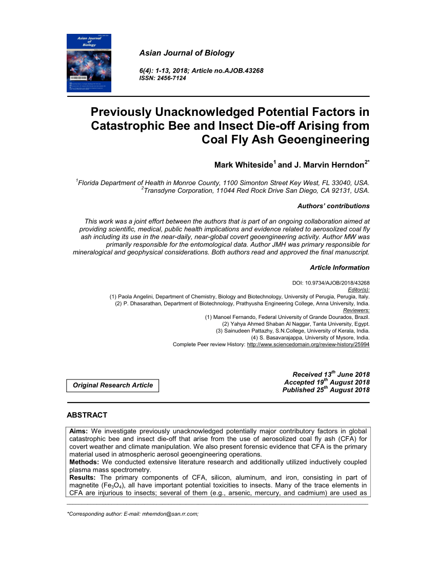 Musca Law Key West, FL Office