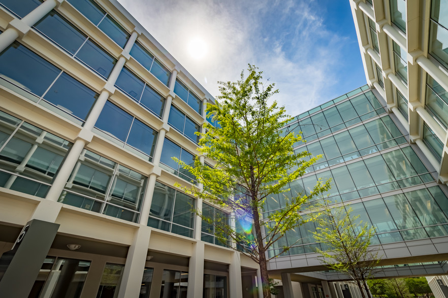 Langley LLP Westlake,  Office