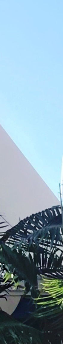 Zumpano Patricios Miami, FL Office