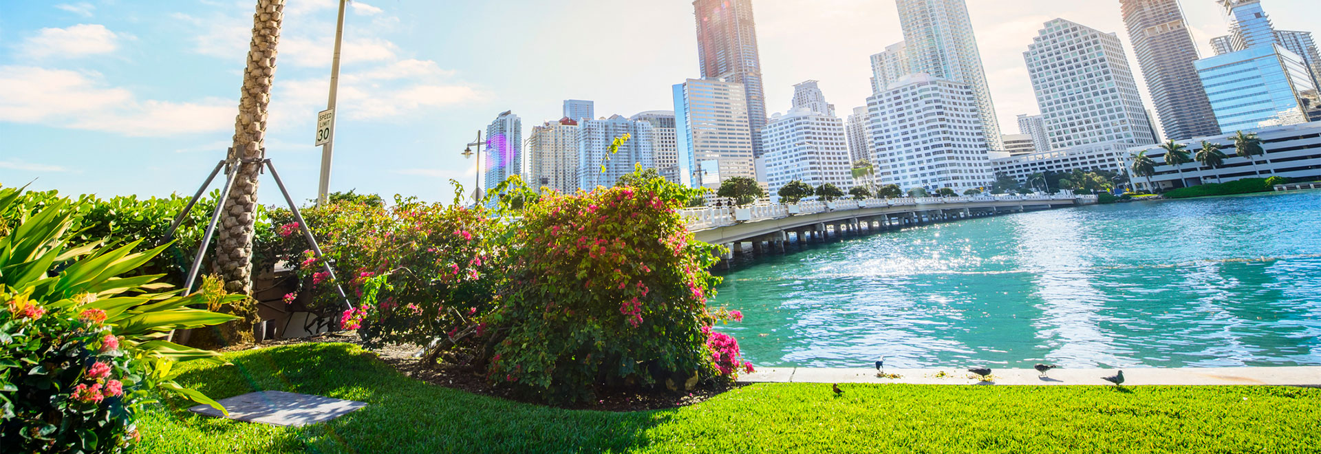 Rifkin & Fox-Isicoff, PA Orlando, FL Office