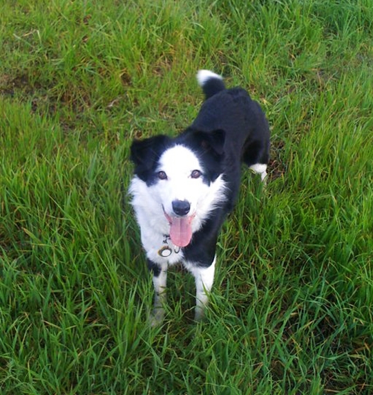 Acuna Regli, Attorneys at Law Pleasant Hill,  Office