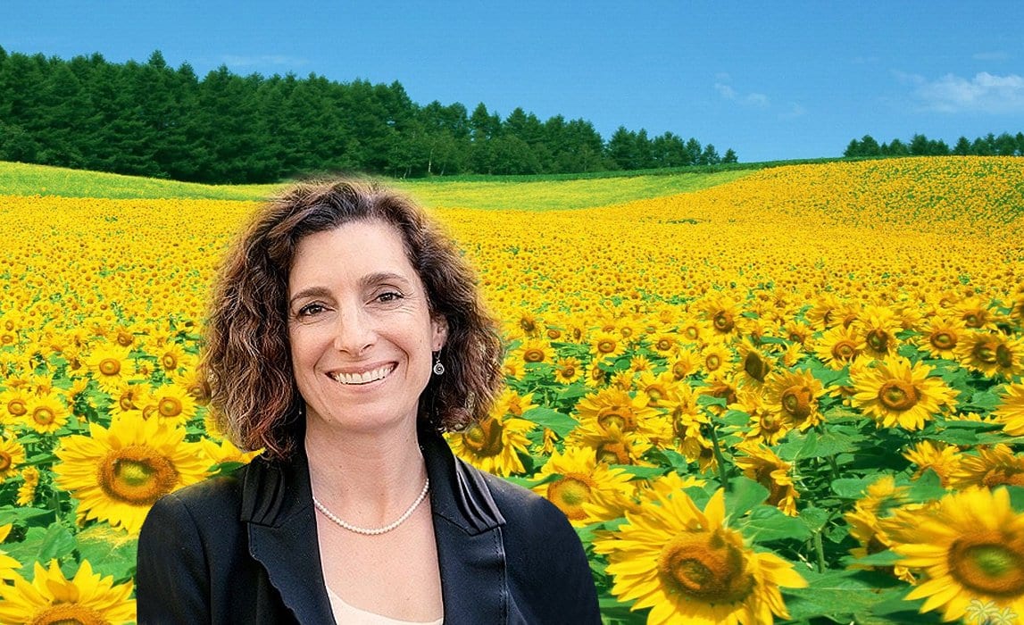 Divorce Mediation Group, Inc Springfield,  Office