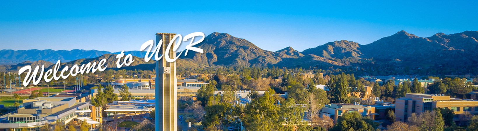 ELR Law Group Sherman Oaks, CA Office