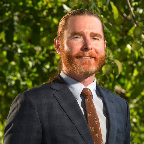 Law Office of David Philipson Big Bear Lake,  Office