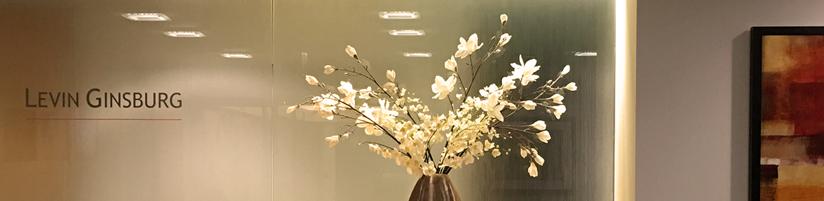 Levin Ginsburg Chicago, IL Office