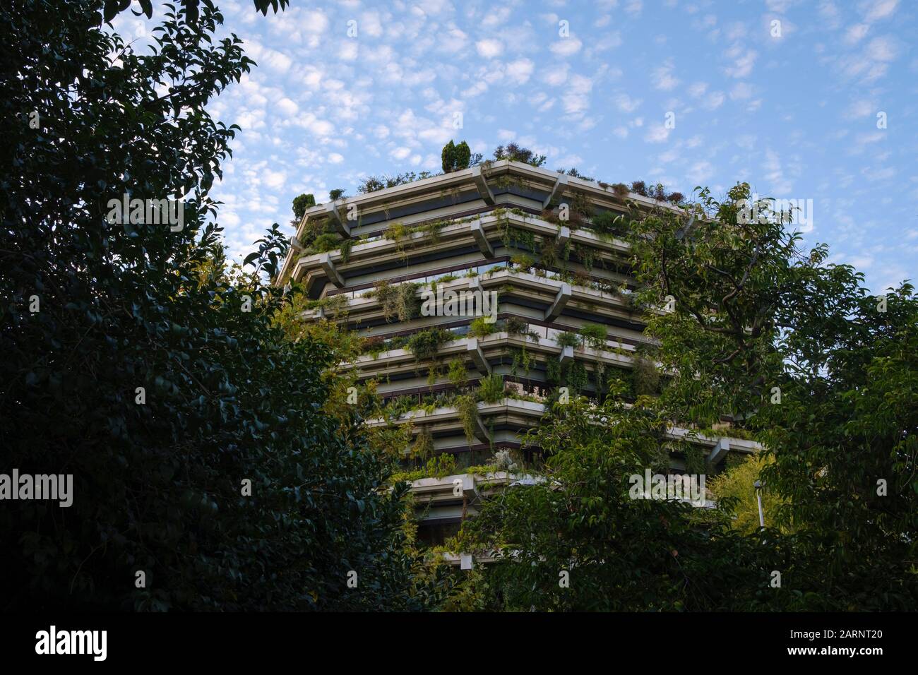 AACNI Barcelona, Spain Office