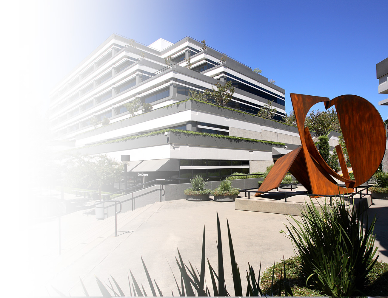 MG+M The Law Firm Walnut Creek, CA Office