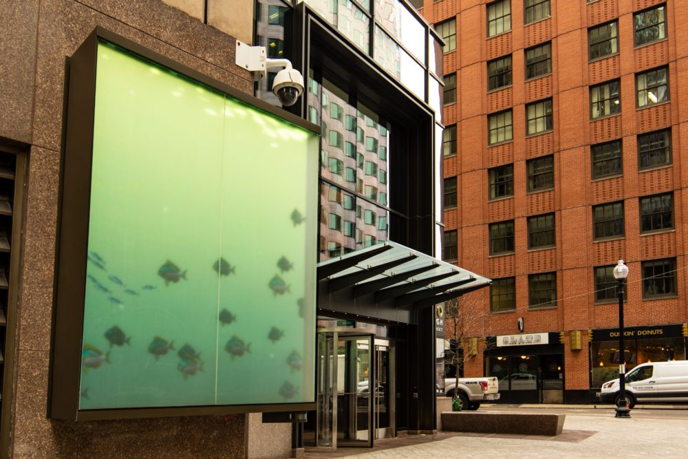 Schlossberg, LLC Newton, MA Office