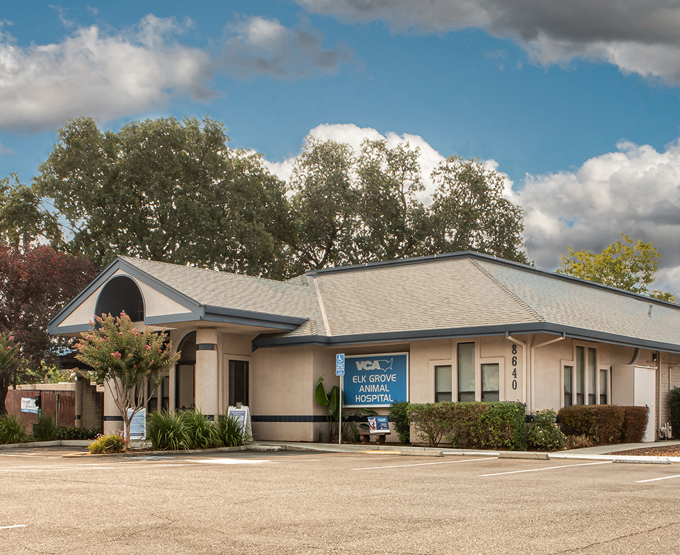 Kimball Tirey & St. John LLP Elk Grove, CA Office