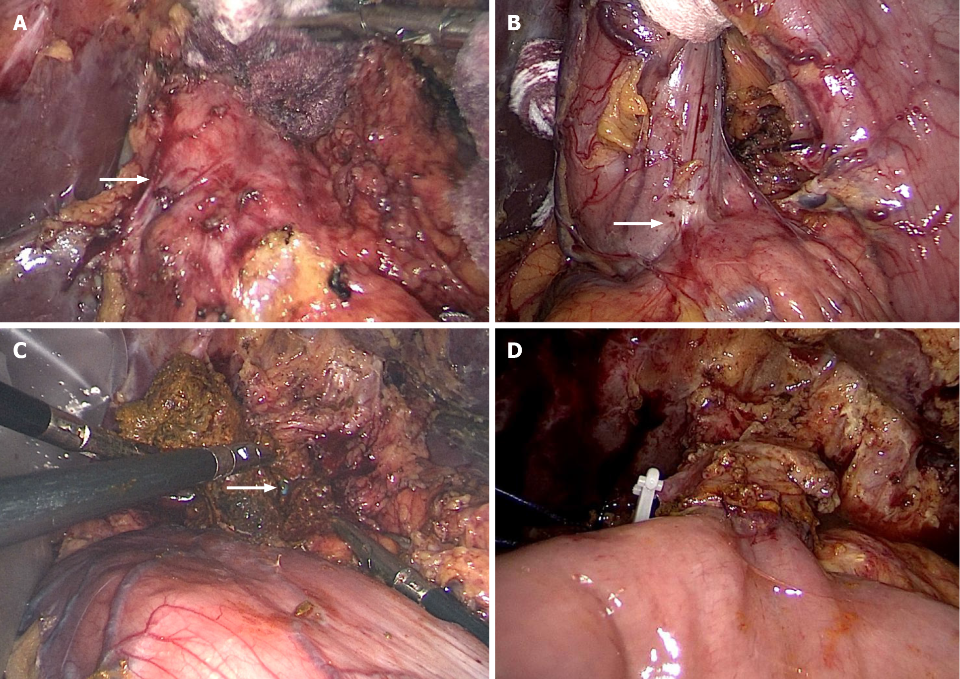 Lehman, Lee & Xu Lanzhou, China Office